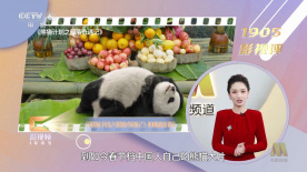 成人福利在线免费观看